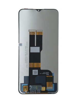 OL118135(2)